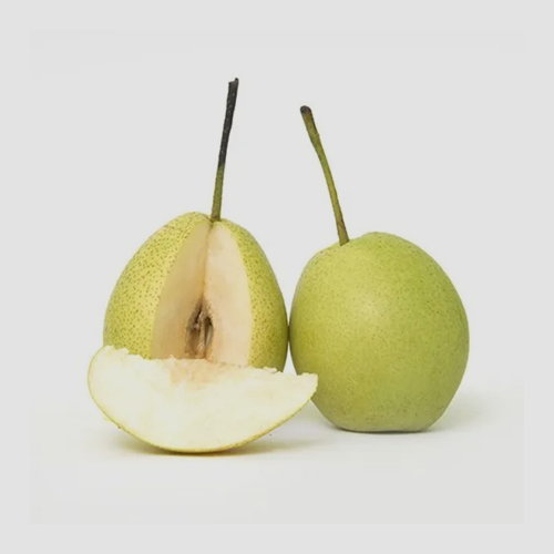 Pear Naspati Indian Images